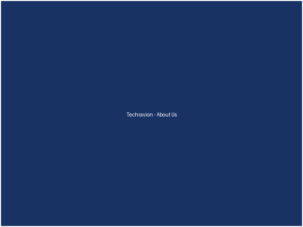 Techravion - Employees Guoup Image